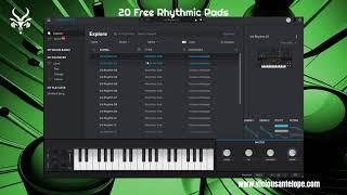 Free Pigments Presets by Vicious Antelope - Rhythms - 20 Rhythmic Synth Pads