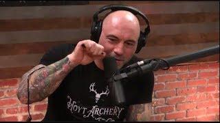 Joe Rogan on the Mel Gibson Podcast