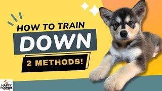 Train Your Puppy to Lie Down: Complete Beginner's Guide