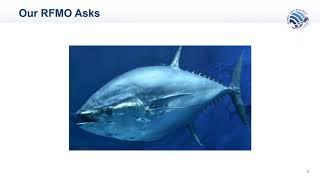 The Global Tuna Alliance’s RFMO Engagement Strategy