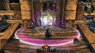 Neverwinter Mod 12 Preview - Transcendent Bronzewood b2b Transcendent Barkshield Run (1080p)