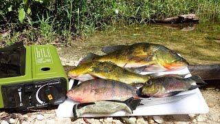 Florida invasive EXOTICS catch clean cook