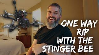 Stingy Flies the Stinger Bee from Newbeedrone: A Review