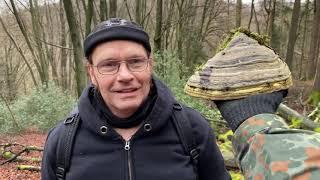 Waldpilze im Dezember | Zunderschwamm | Chaga | Birkenporling | woodytude