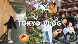 TOKYO VLOG 上｜吃到心心念念的松饼 东京天空之树｜上野公园看樱花 早餐咖啡店打卡｜一口入魂烧肉店｜根津美术馆