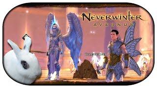 NEVERWINTER: Avernus  10 - Fügung des Schicksals