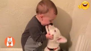 Videos Graciosos de Perros y Bebés  Bebés y Cachorros Creciendo Juntos #3 | Espanol Funniest Videos