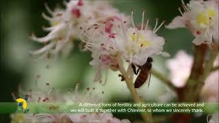 BeeLife and Chimiver - Insects are essential for life