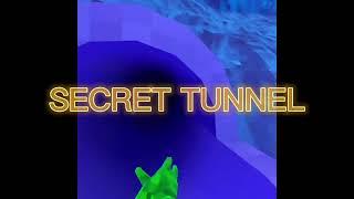 SECRET TUNNEL