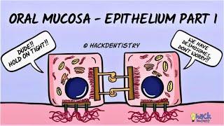 Oral Mucosa - An Introduction