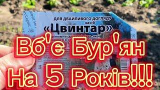 ️Бурьяна Не Буде 5 РОКіВ, якшо ЦИМ обробити. "КЛАДБИЩЕ". 2024