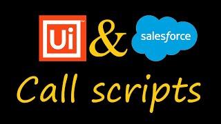 UiPath call Salesforce APEX function | RPA | SFDC | SFA | Users activities | Reset user password