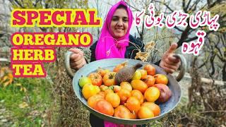 Special Qahwa | Oregano Tea | Oregano Herb Tea | Daily Lifestyle | My Village Life | Vlogs New Video