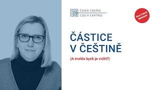 Přednáška o češtině: Částice v češtině. (A mohla bych je vidět?)