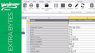 Wonderware Language Switching Assistant With InTouch