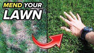 The Absolute Easiest Way To Fix Bare Spots In Your Lawn