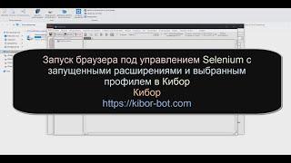 Запуск браузера под управлением Selenium с запущенными расширениями и выбранным профилем в Кибор