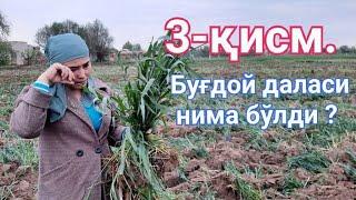 3 ҚИСМ #Хоразм_вилояти #Урганч_тумани_ҳокими ҚОНУН ҚОЛМАДИ УРГАНЧ ТУМАНДА