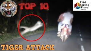 10 TIGER CAUGHT ON TAPE | NAKAKATAKOT na Engkwentro ng Tigre at Tao