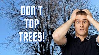 A Master Arborist Discusses Tree Topping