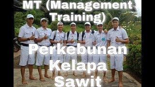 NGERI!! KABUR dari MT (Management Training) Di Perkebunan Sawit!!