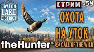 theHunter Call of the Wild #58 СТРИМ  - Охота на Уток - Ружьё - Утка Кряква