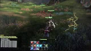 TERA  The Exiled Realm Of Arborea Video Game, SDCC 10  Floor Gameplay (Cam) HD