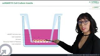 Introduction to Cell Culture Inserts – cellQART® at ASCCT 10th annual meeting