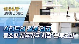 스타트업 열풍 업고 중소형 사무가구 시장 '블루오션' / 머니투데이방송 (뉴스)