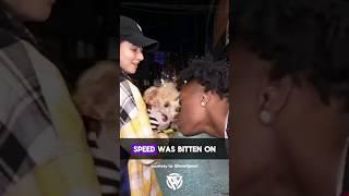 Dog bites Speed ​​on the nose   #foryou #letmeseeyoudoit #naturalscience #speed #funny