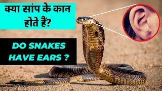 DO SNAKES HAVE EARS ? | क्या सांप के कान होते हैं?