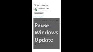 How to pause windows update