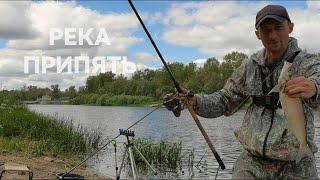 РЫБА ПЛАВАЕТ С РУЛЕТКОЙ  ОБМАНЫВАЕМ ЛЕЩА ПЕРЛОВКОЙ, КРЮЧКИ ПОВОДКИ НА ЛЕЩА