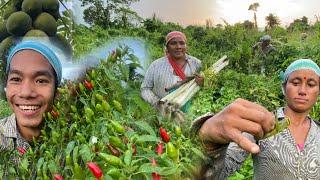 OMG !* MONU COLLECTING WILD MEDICINAL vegetables from jungle * village life 