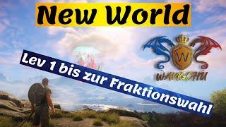 New World #1, Lev 1 bis zur Fraktionswahl (Syndikat)/ Deutsch/ NW/ mmorpg/ Wangchu