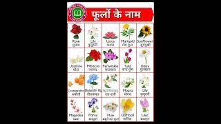 20 flowers name