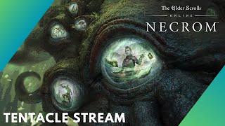 Tentacle Stream| ESO Necrom Chapter | Learning the most Dangerous Secrets.