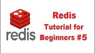 Redis Tutorial for Beginners 5 - Redis strings commands