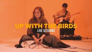 Coldplay - Up With The Birds (Live Sessions Cover) by Cassandra Coleman