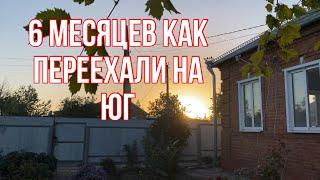 359чПолгода как переехали/Двери установлены,замки вставлены/Розы посадила