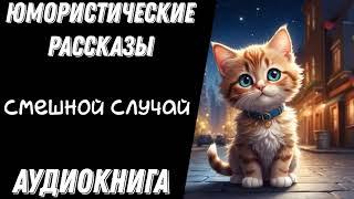 СМЕШНОЙ СЛУЧАЙ / АУДИОКНИГА ЮМОРИСТИЧЕСКОЕ ФЭНТЕЗИ