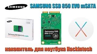 Samsung SSD 850 EVO mSATA накопитель для ноутбука Hackintosh