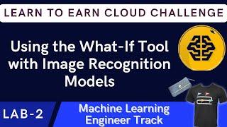 Using the What-If Tool with Image Recognition Models | Earn Learn to Earn Cloud Data Challenge