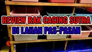 RAK CACING SUTRA MEMAKSIMALKAN LAHAN SEMPIT UNTUK BUDIDAYA CACING SUTRA