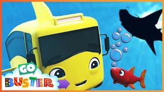 Playing in the Ocean | Baby Shark Family | Life at Sea | Kids Ocean Learning | Toddler Show