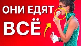 Как есть и не толстеть. 4 правила стройных людей