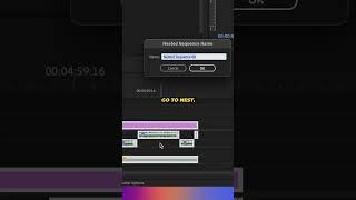 This PREMIERE PRO HACK is ACTUALLY REALLY USEFUL! (NEST AUDIO SEQUENCE)