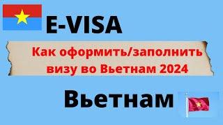 Виза во Вьетнам на 90 дней в 2024. Как оформить  инструкция. E-Visa во Вьетнам онлайн.