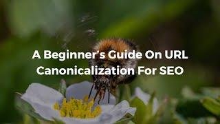 Using Canonical Tags The Right Way For SEO