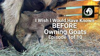What I Wish I Would Have Known Before Owning Goats Episode 1 of 10